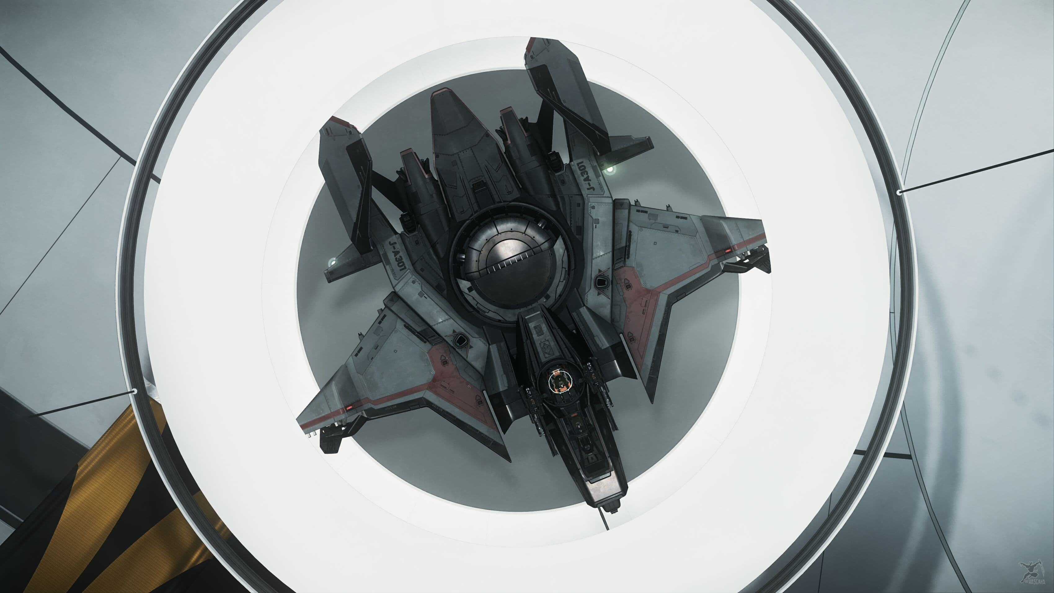 Star Citizen — Gladiator bomber. Screenshot via hasgaha.com.